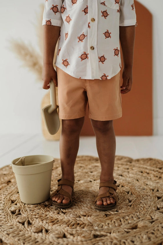 Sunset Dressy Shorts