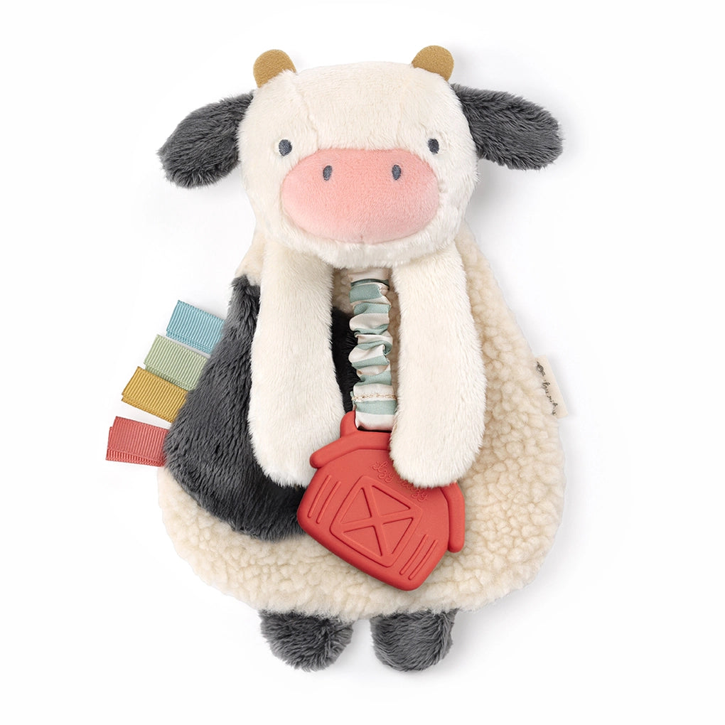 Itzy Friends Itzy Lovey Plush with Teether Toy