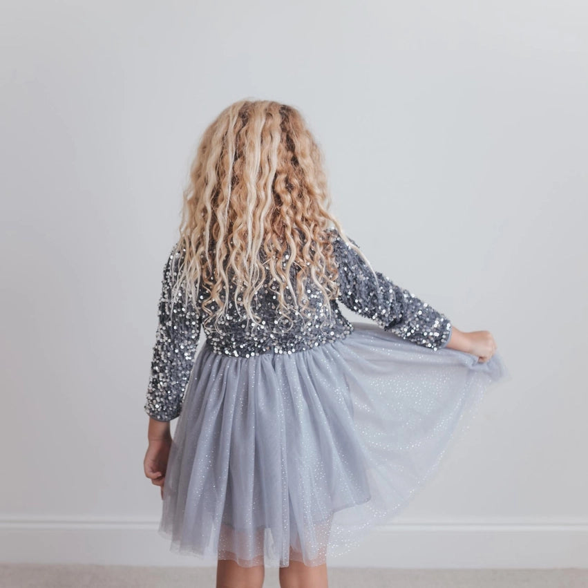 Silver Sparkle Tulle Dress