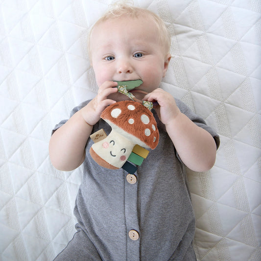 Itzy Pal Ash the Mushroom Plush + Teether