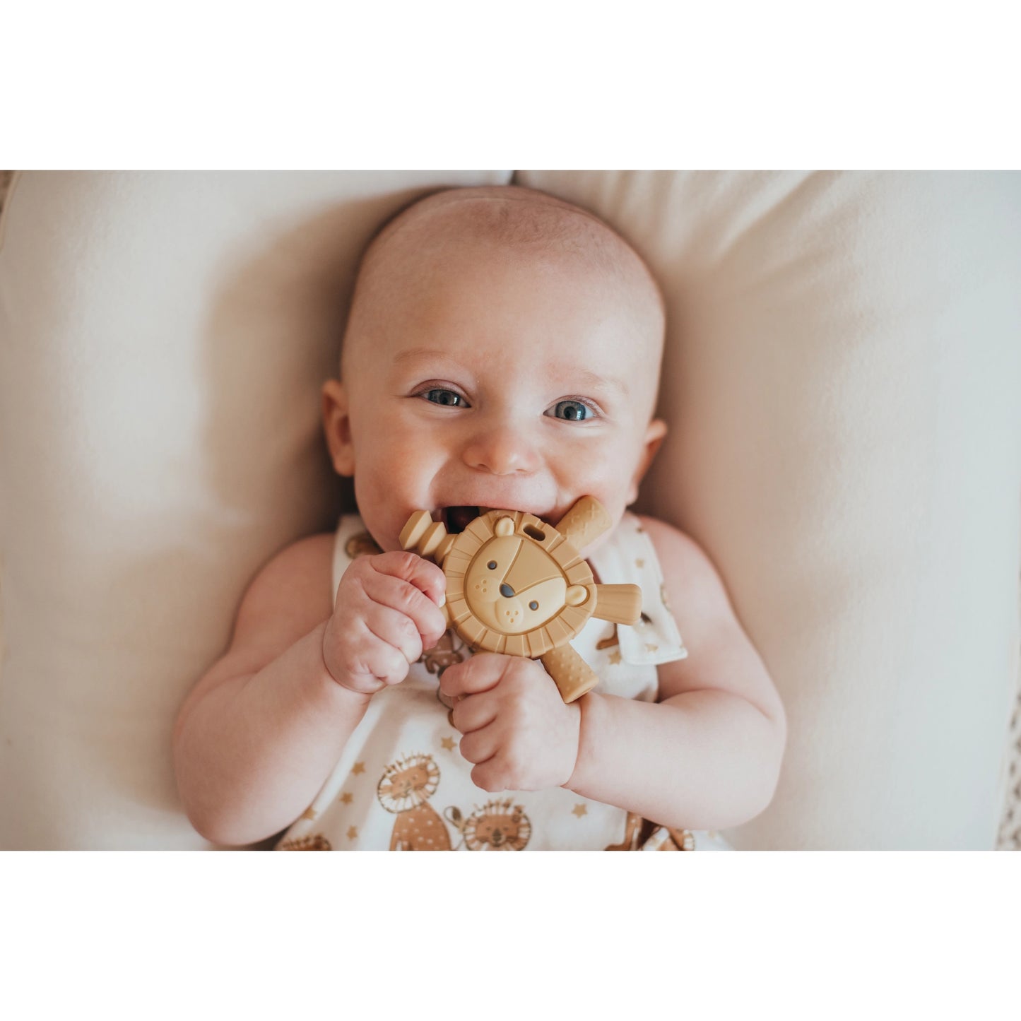 Ritzy Lion Baby Molar Teether